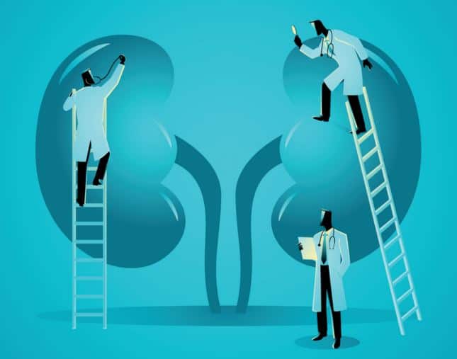 What is a Nephrologist? And Why Should You See One?